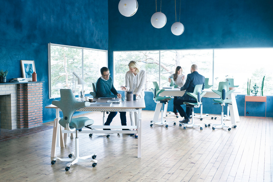 ocusa.capisco-7-180830-113438.jpg ocusa.capisco-7-180830-113438.jpg